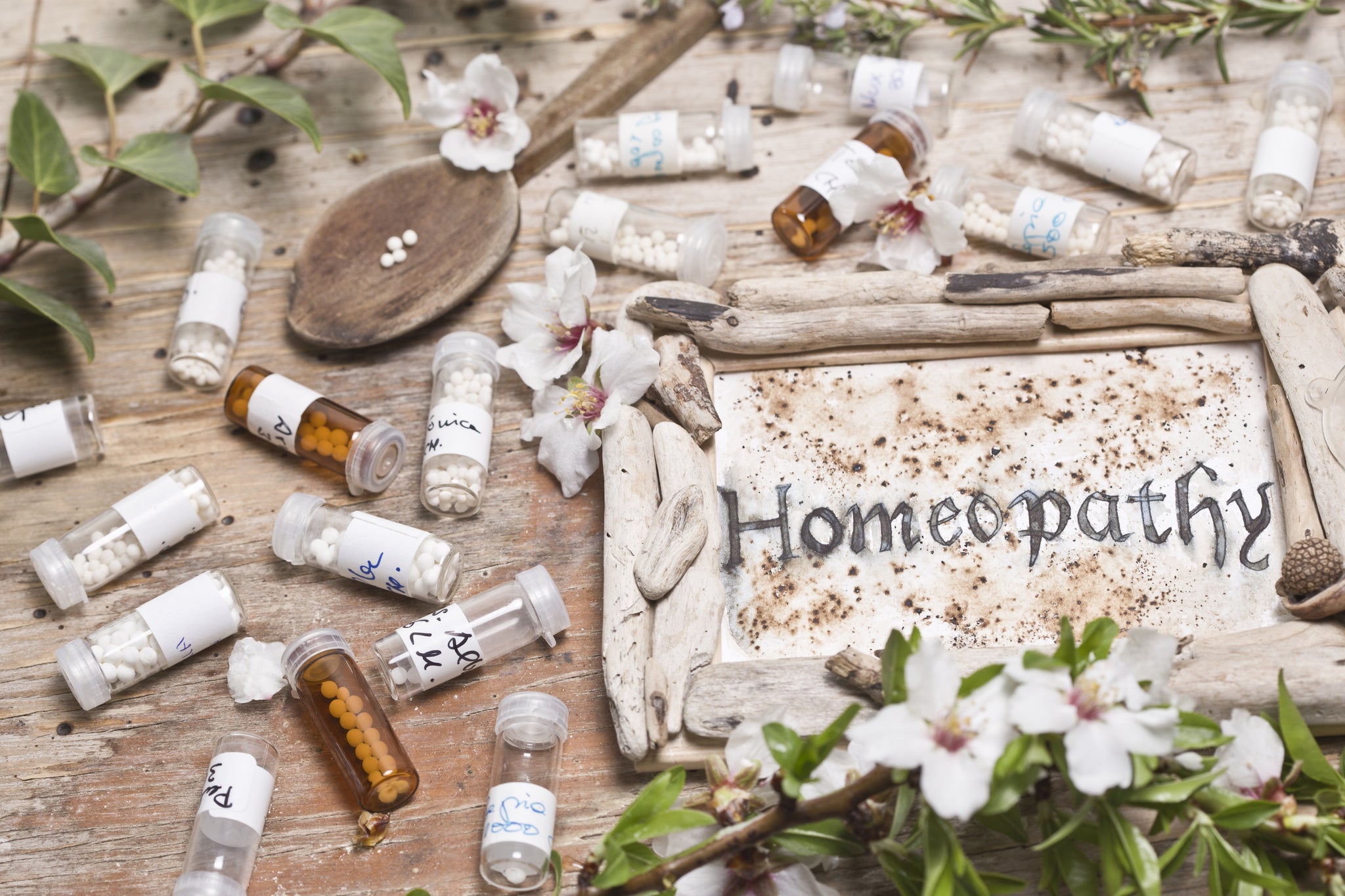 First Homeopathy Camp