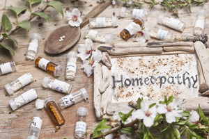 First Homeopathy Camp